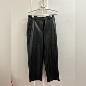 Aritzia Babaton faux leather pants